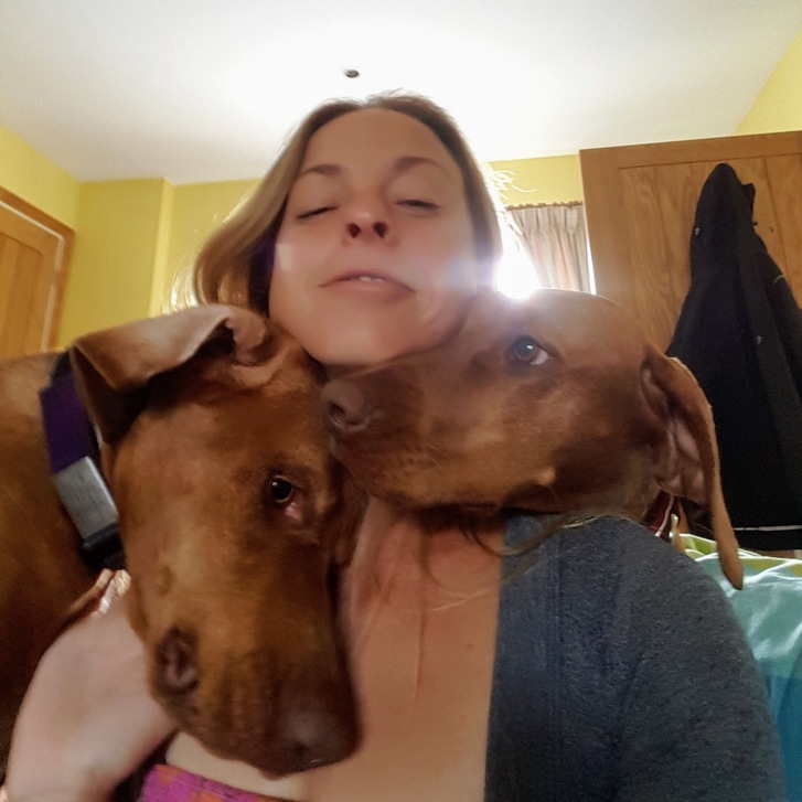 Dog Adventures 4 Dog Adventures Animals 4