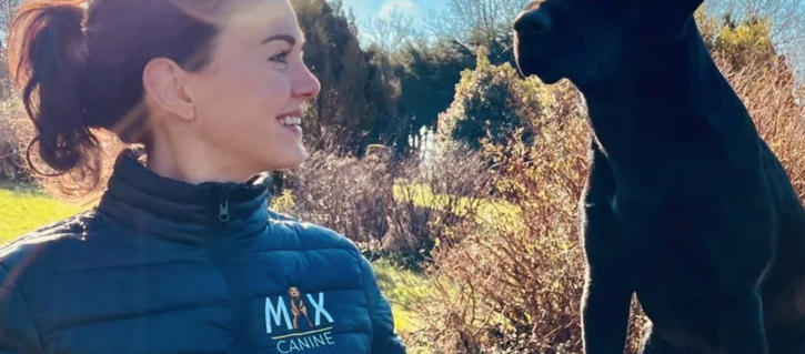 Expert Dog Trainer 2 Expert Dog Trainer Animals 2