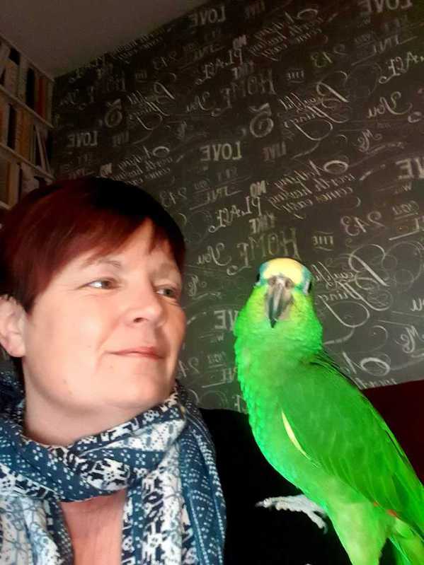 Parrot rescue Parrot rescue Animals