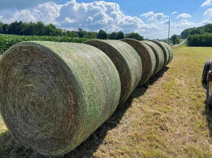 Timothy,Orchard and Alfalfa hay mixed grass Animals 2