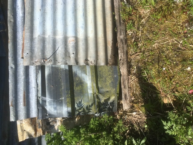 Tin sheets Tin sheets Antiquitaeten