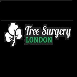 Tree Surgery London - Gardeners Tree Surgery London - Gardeners Garten & Crafts