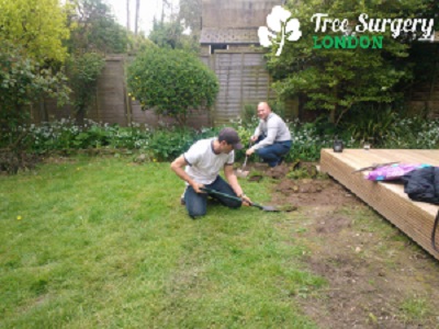 Tree Surgery London - Gardeners 2 Tree Surgery London - Gardeners Garten & Crafts 2